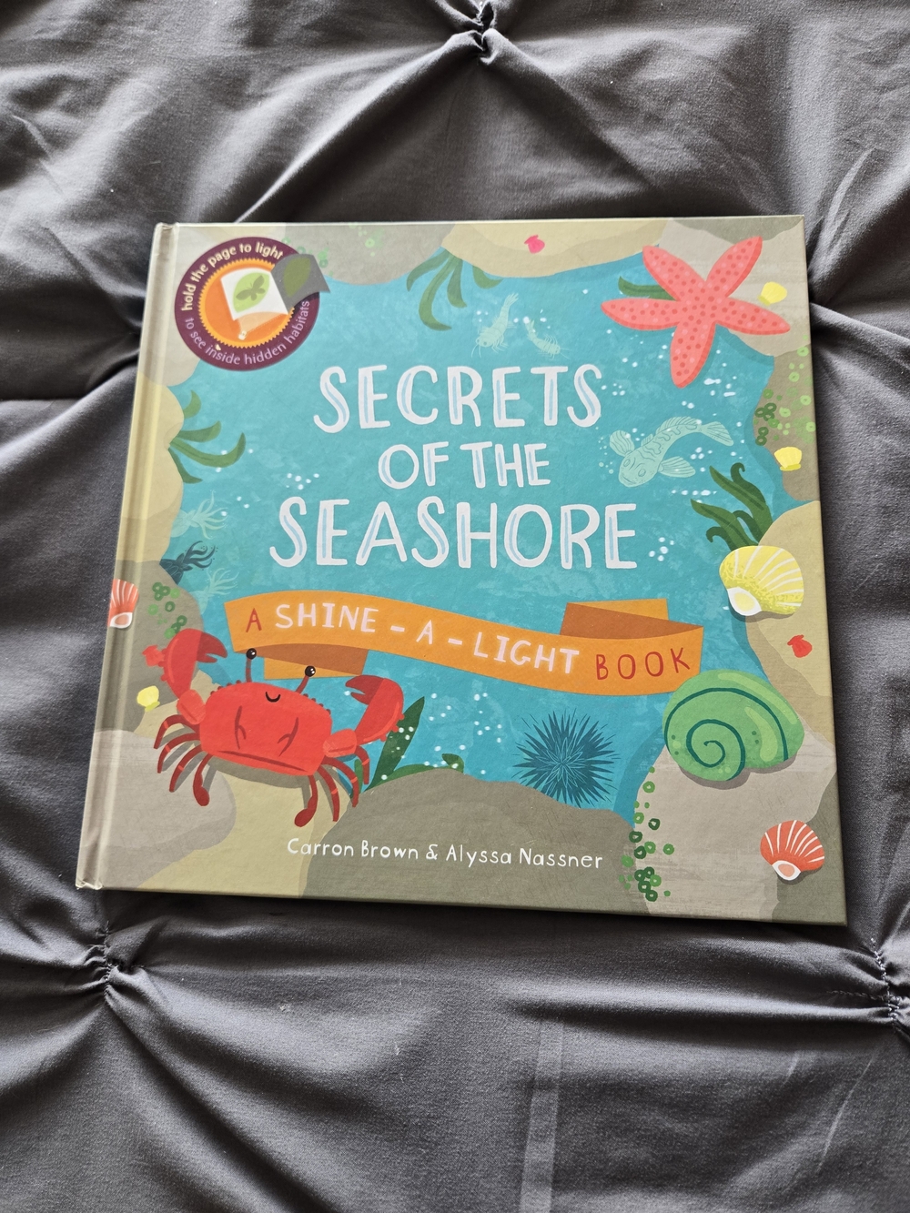 Secrets of the Seashore Shine-a-Light Book Carron Brown Hardcover Kids